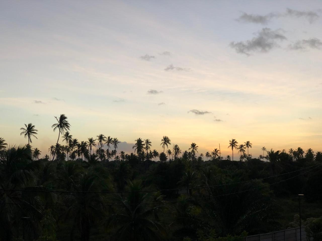 Palm Acqua Resort Pôrto das Galinhas 외부 사진